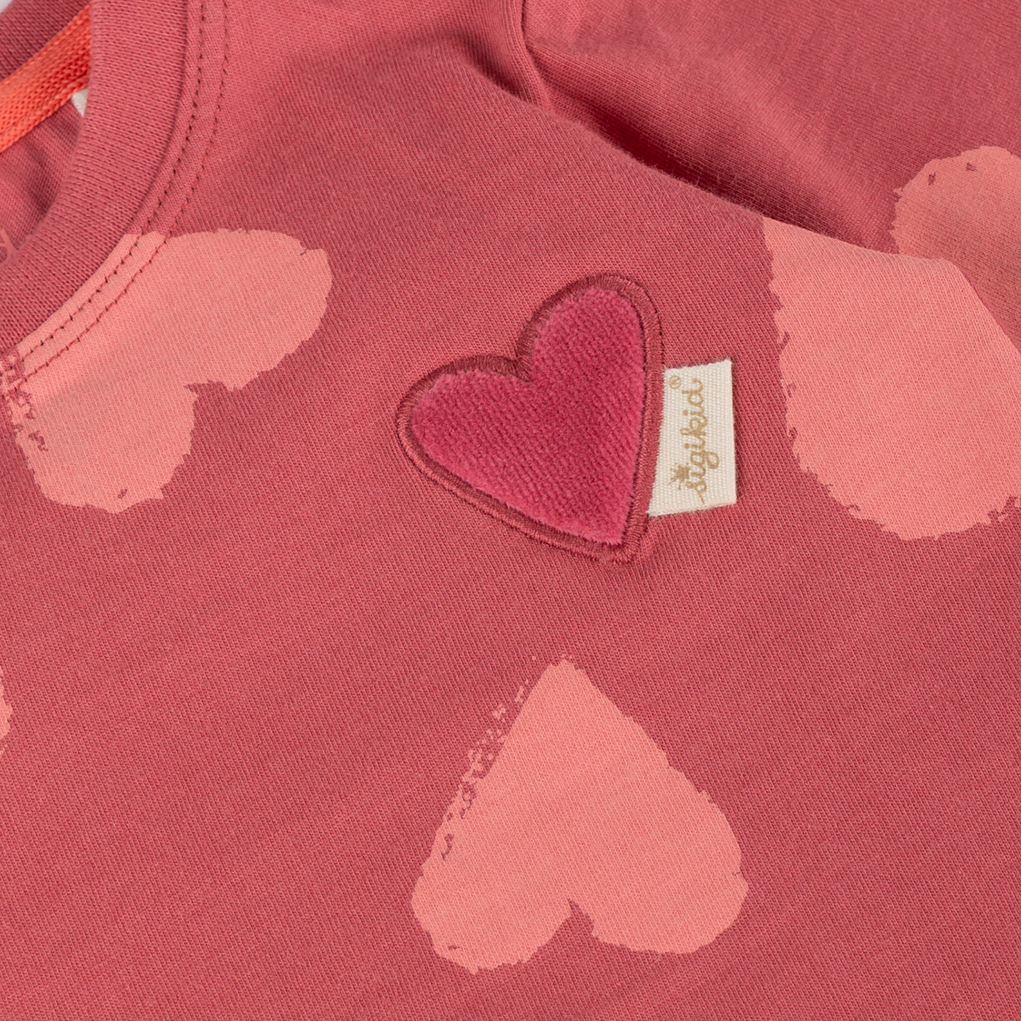 Baby long sleeve Tee hearts, Spring Birds