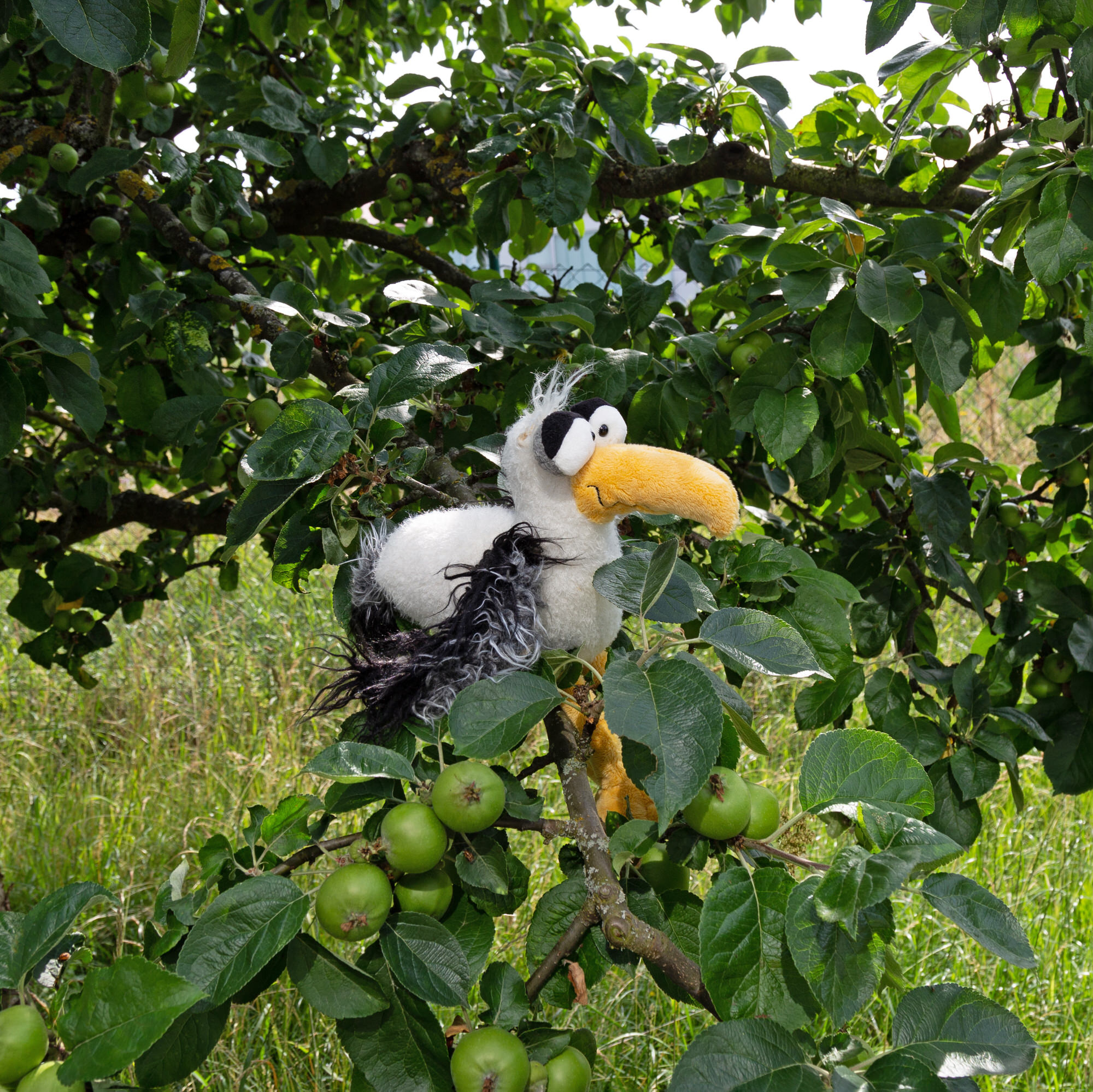 Kuschelvogel Loud in the Cloud, Kikeriki Kuschelvogel Loud in the Cloud, Kikeriki