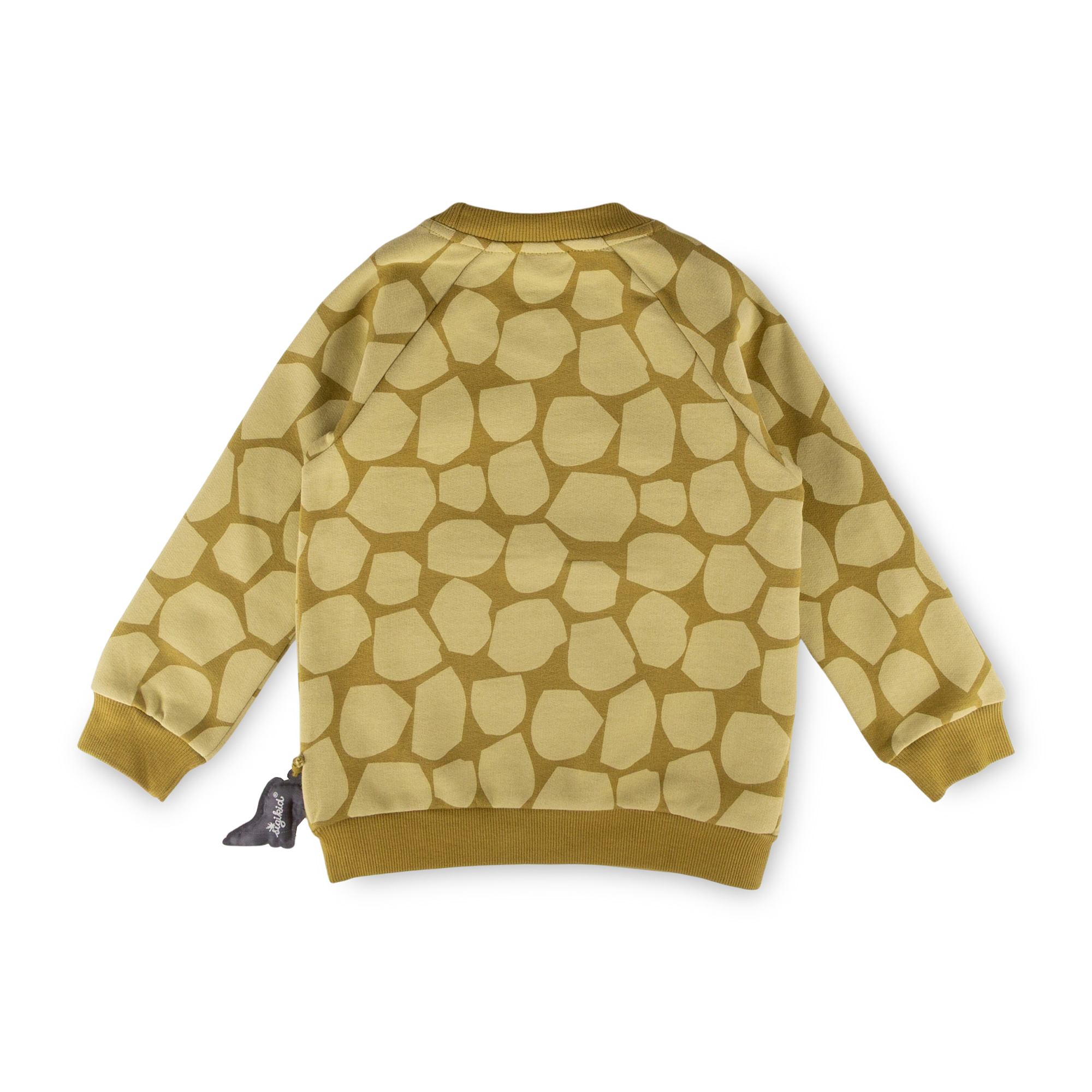 Children's sweatshirt, front pocket, Dino Fun