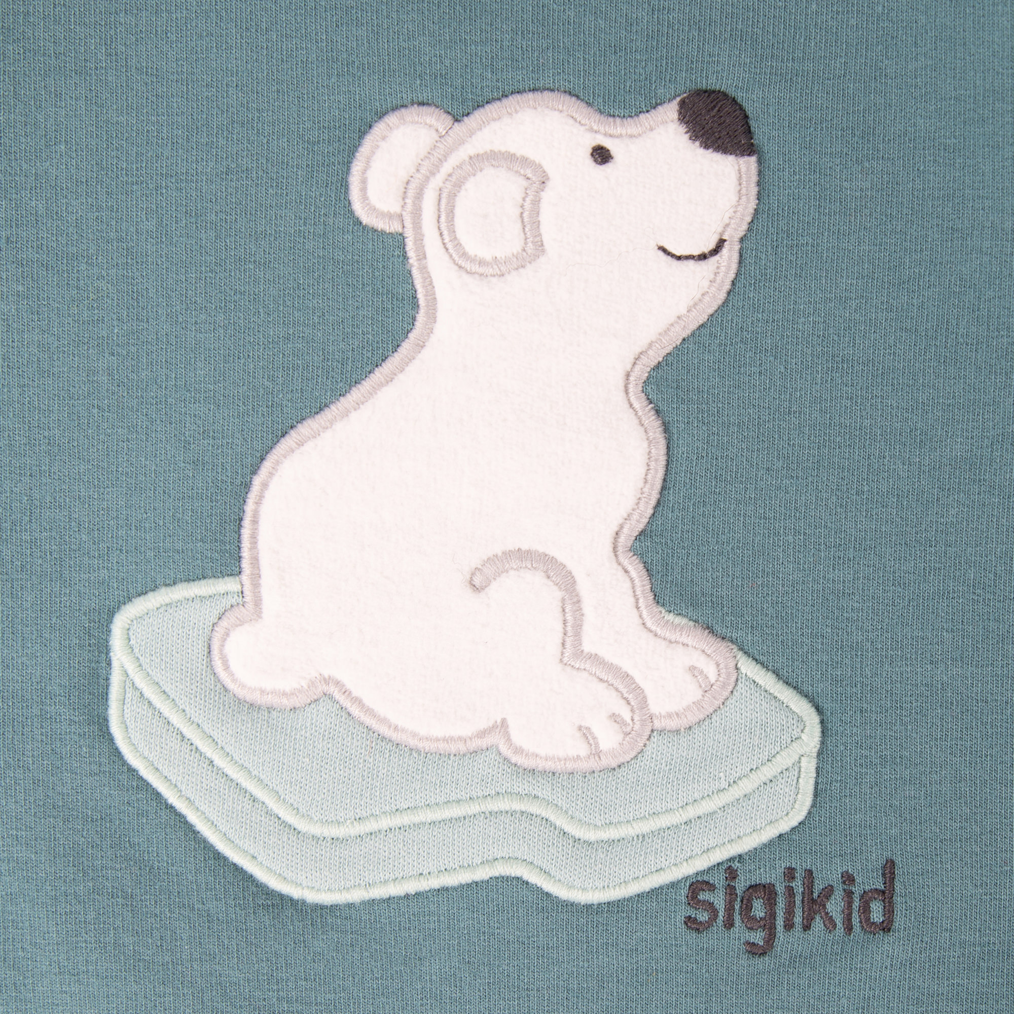 Baby Sweatshirt mit Eisbär Motiv, türkis Baby Sweatshirt mit Eisbär Motiv, türkis