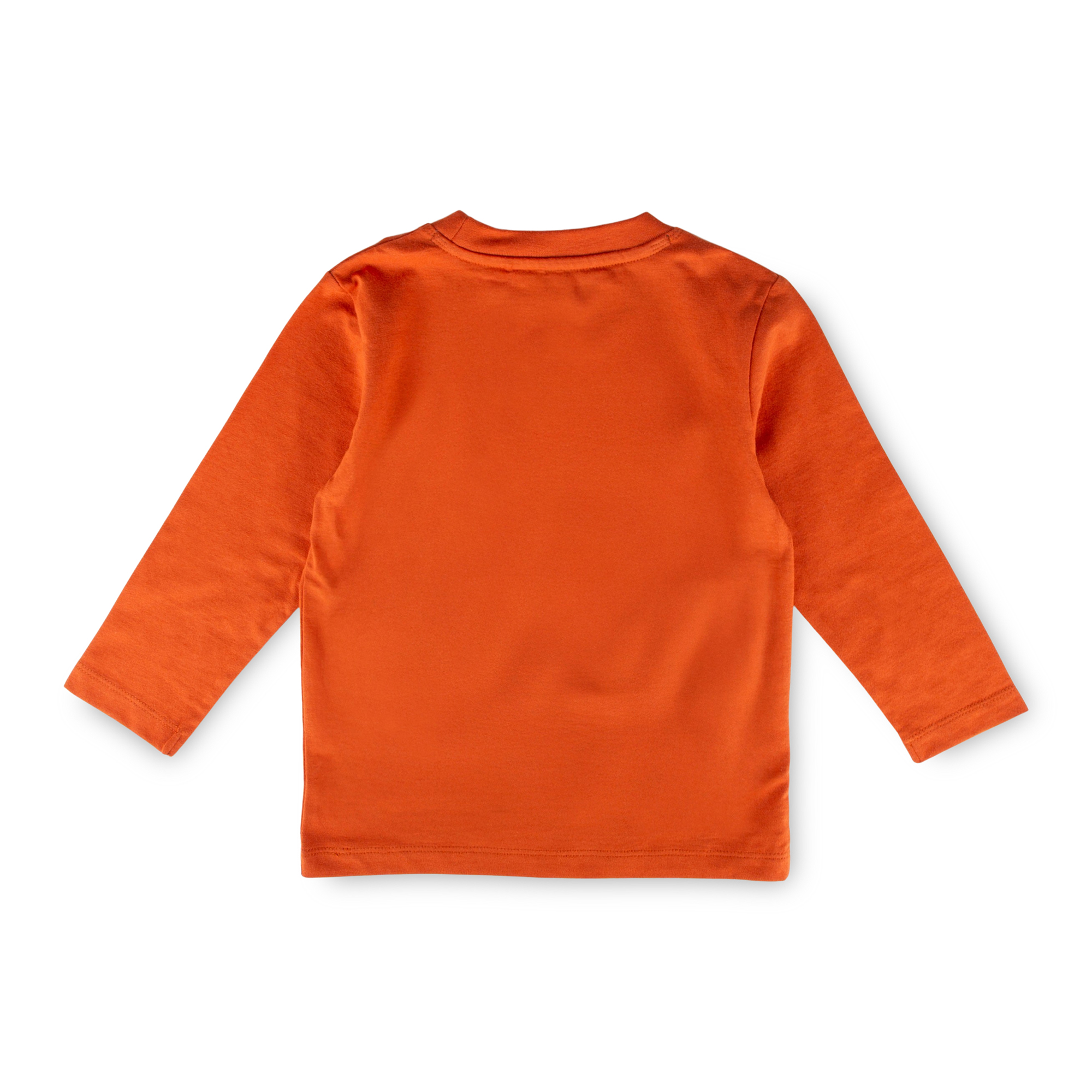 Children's long-sleeved pajamas raccoon