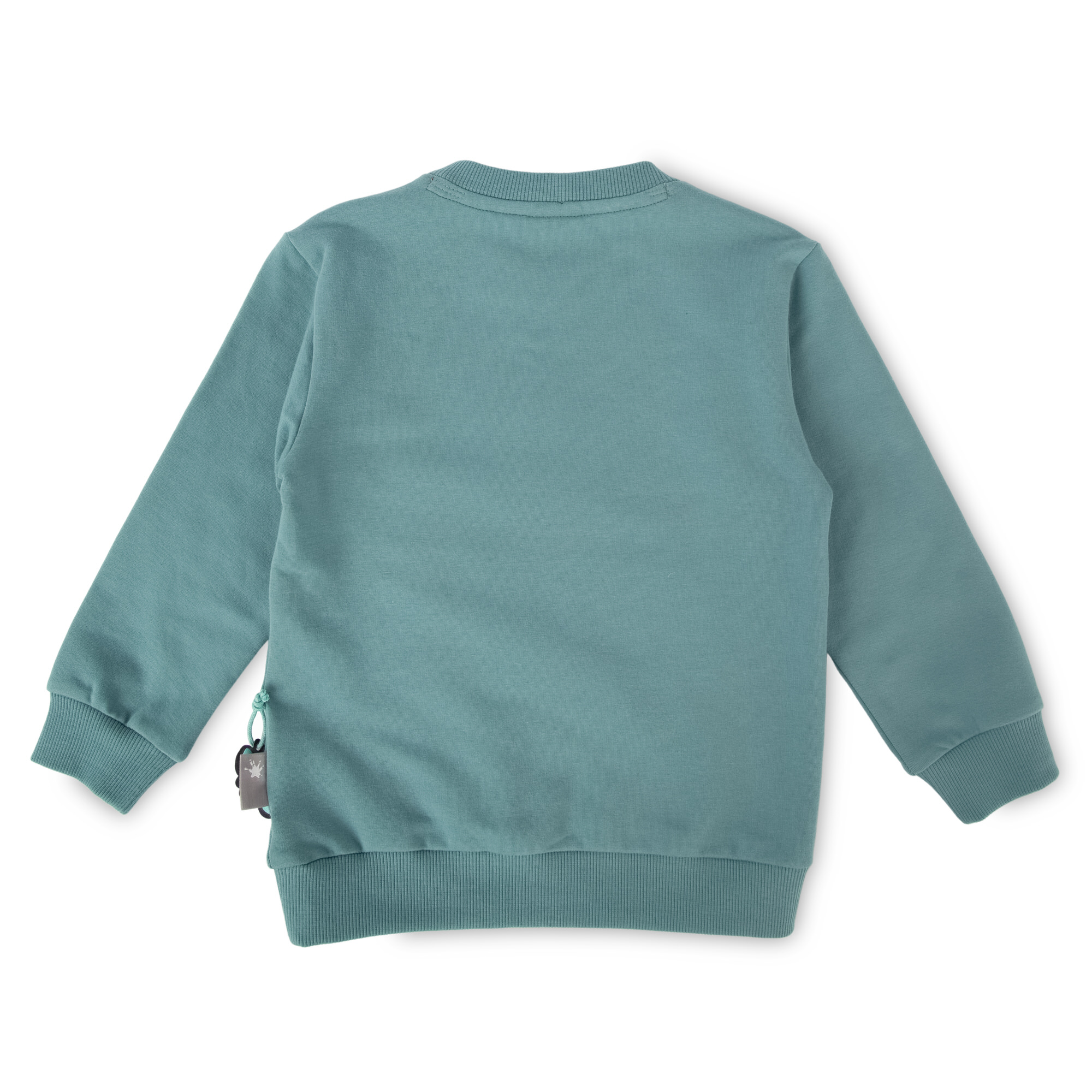 Children's sweatshirt Polar Expedition, jade green