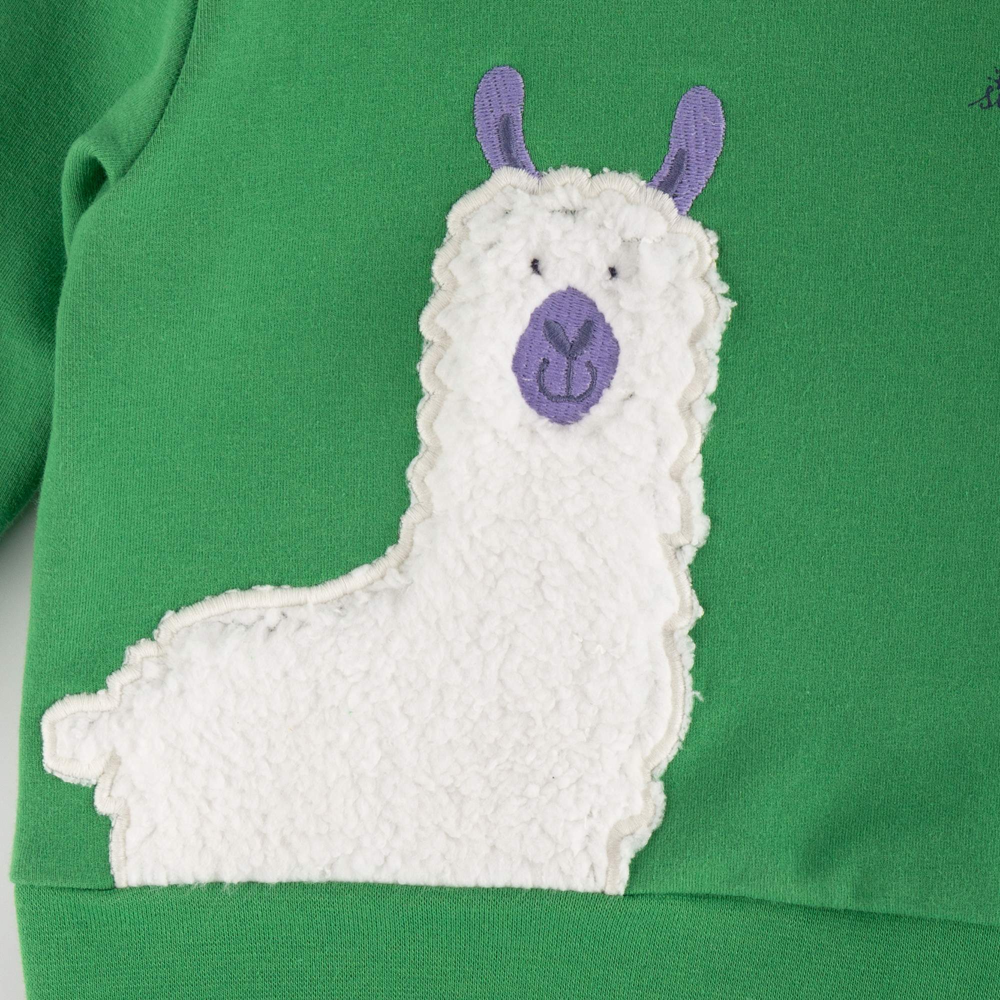 Baby Sweatshirt Crazy Lama, grün