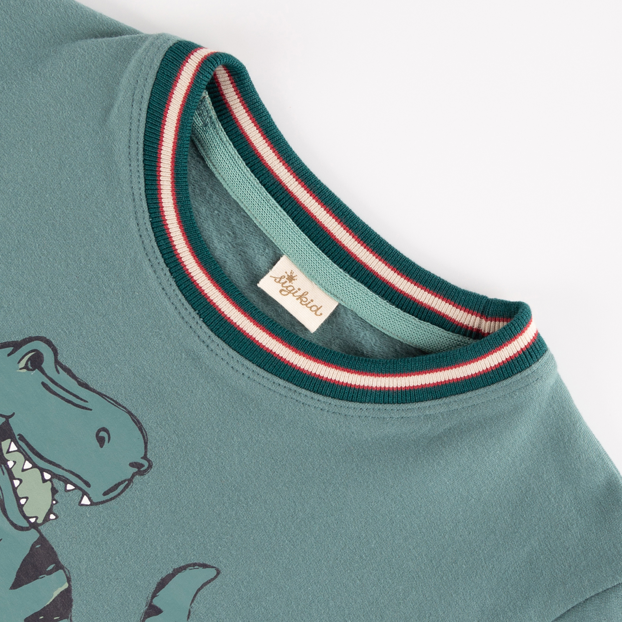 Kinder Sweatshirt Dino, grün