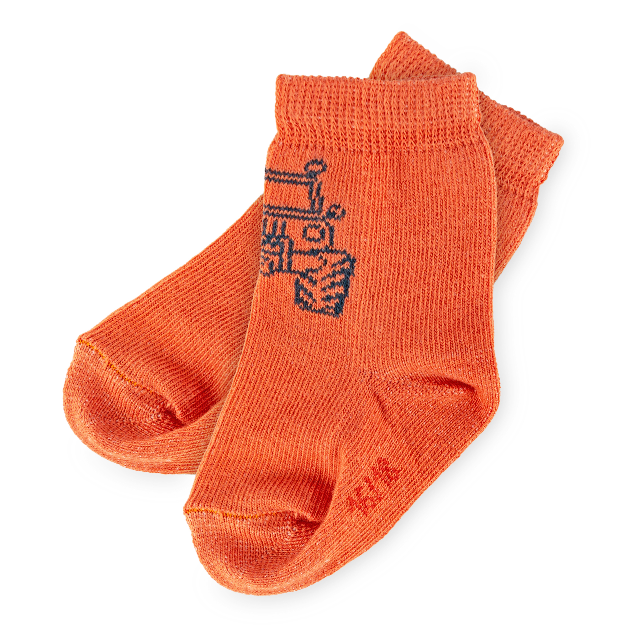 Set of 3 pairs children's socks, Wild Adventure collection