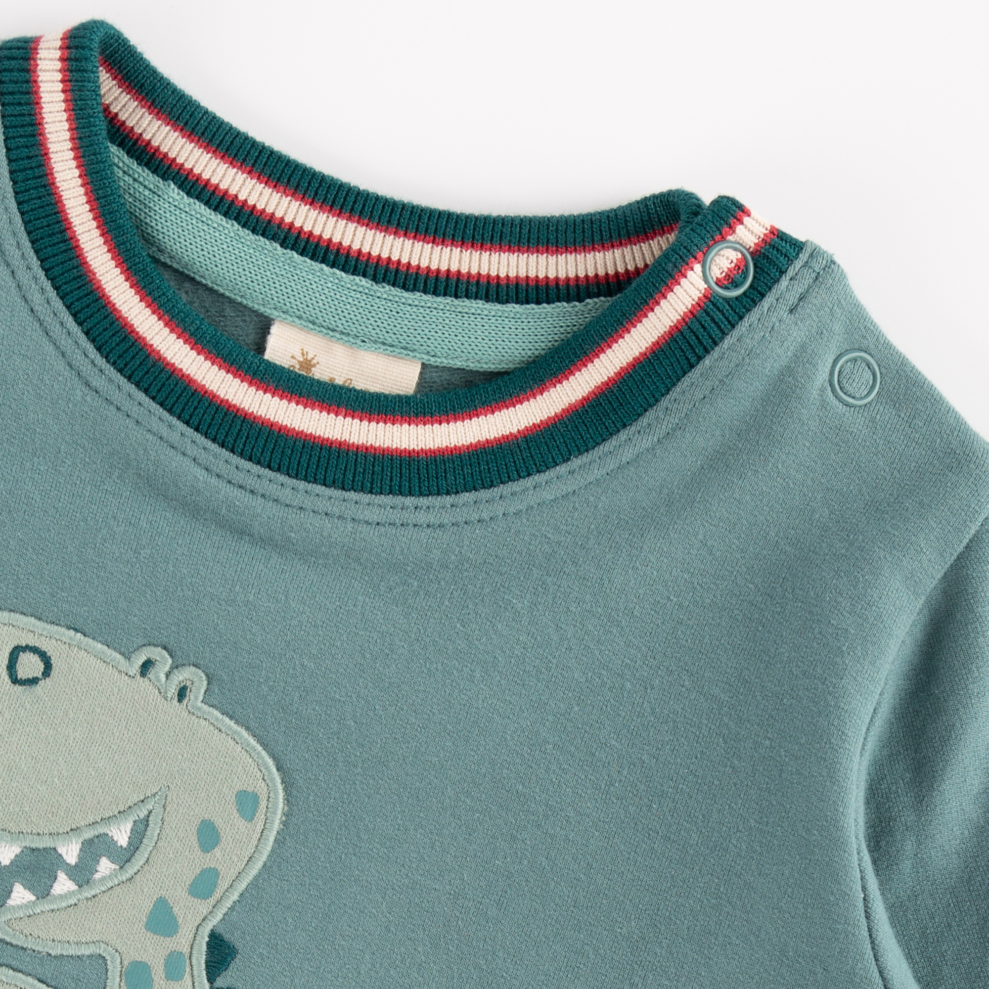 Baby Sweatshirt mit Dino Motiv, grün