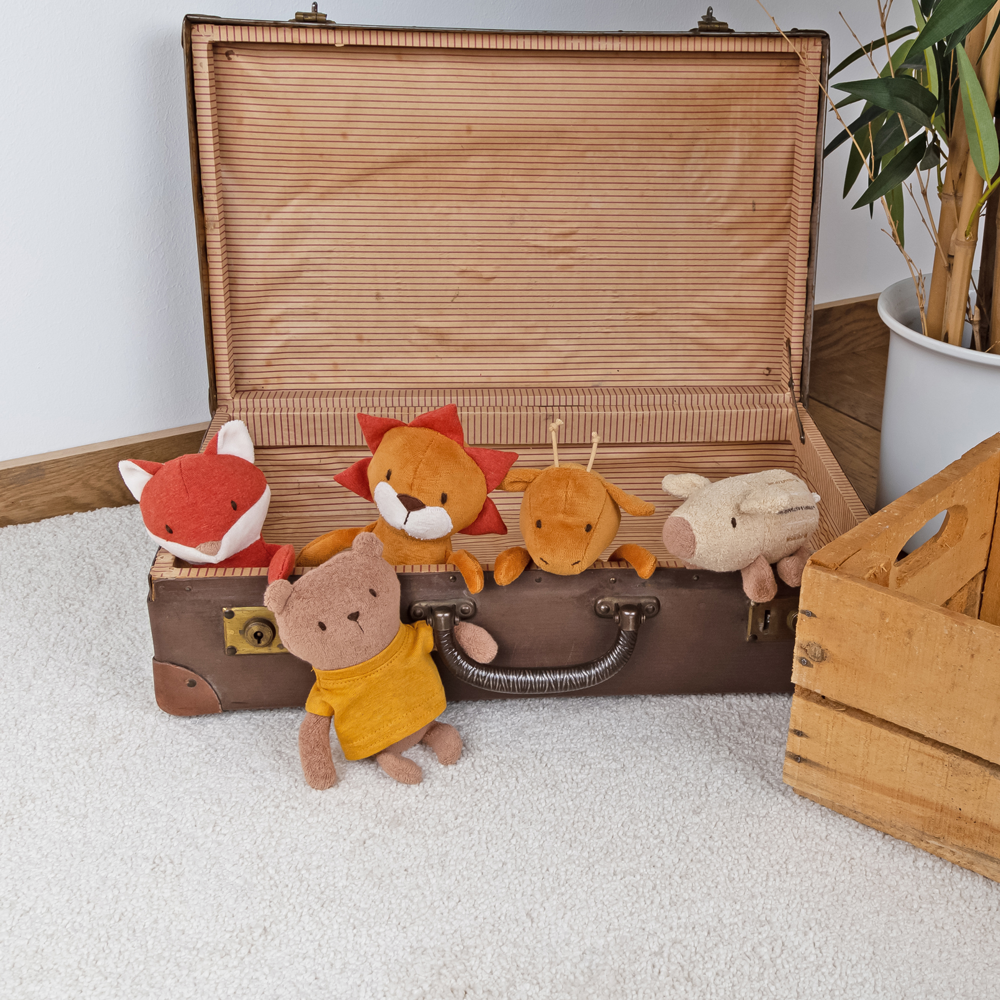 Kuschel-Fuchs Ferdinand mini, Mister O'Lui Kuschel-Fuchs Ferdinand mini, Mister O'Lui