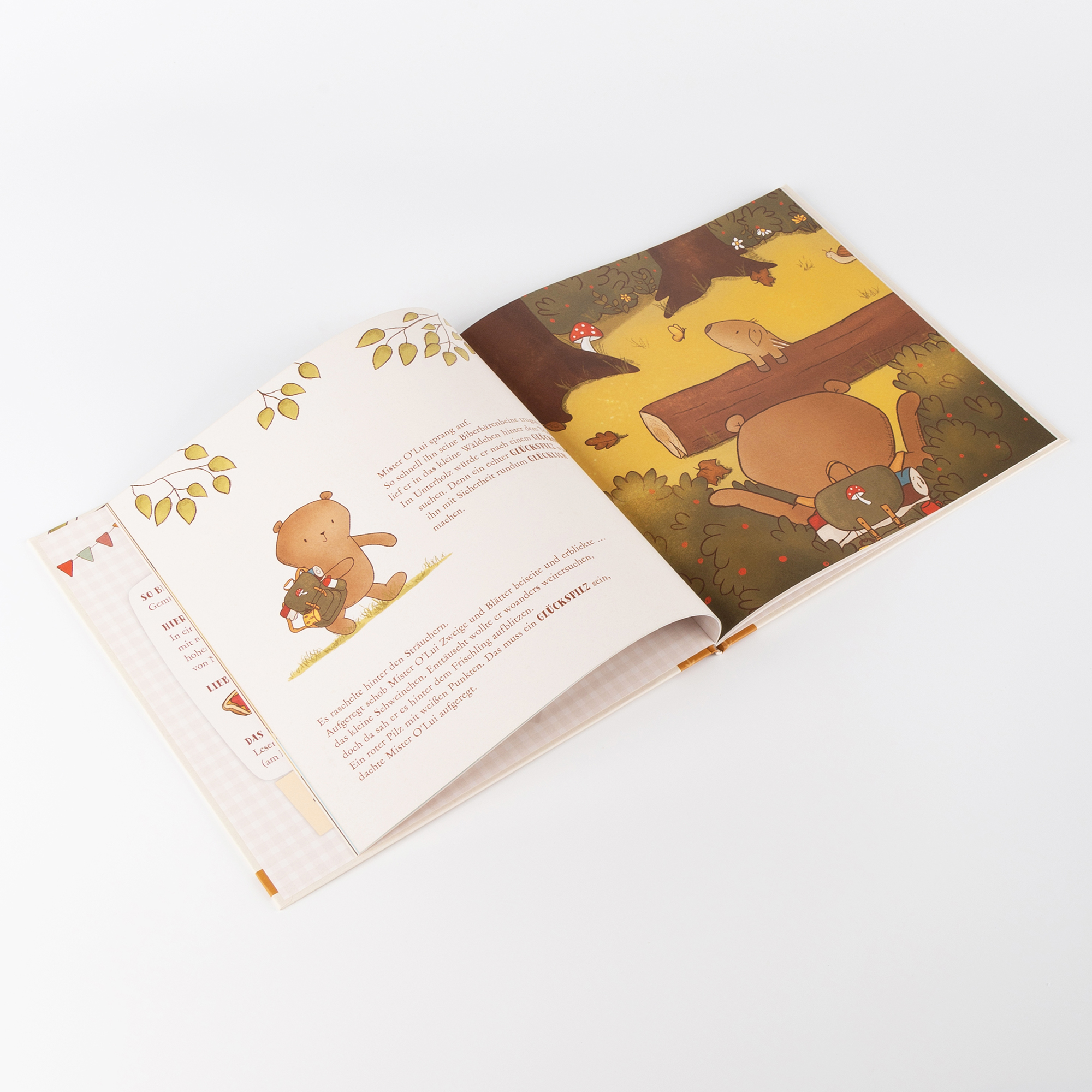 Kinderbuch Mister O'Lui sucht das Glück Kinderbuch Mister O'Lui sucht das Glück