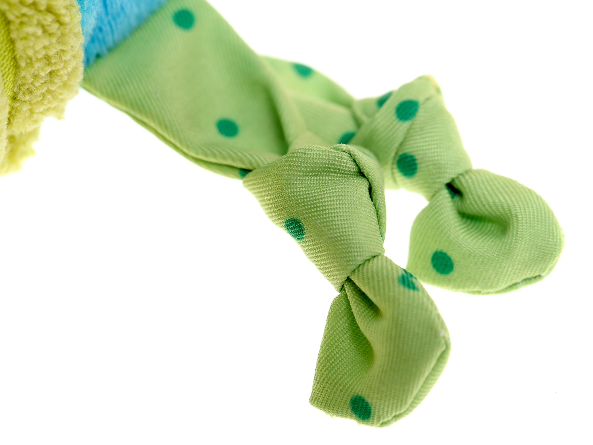 Hanging toy chameleon Hanging toy chameleon