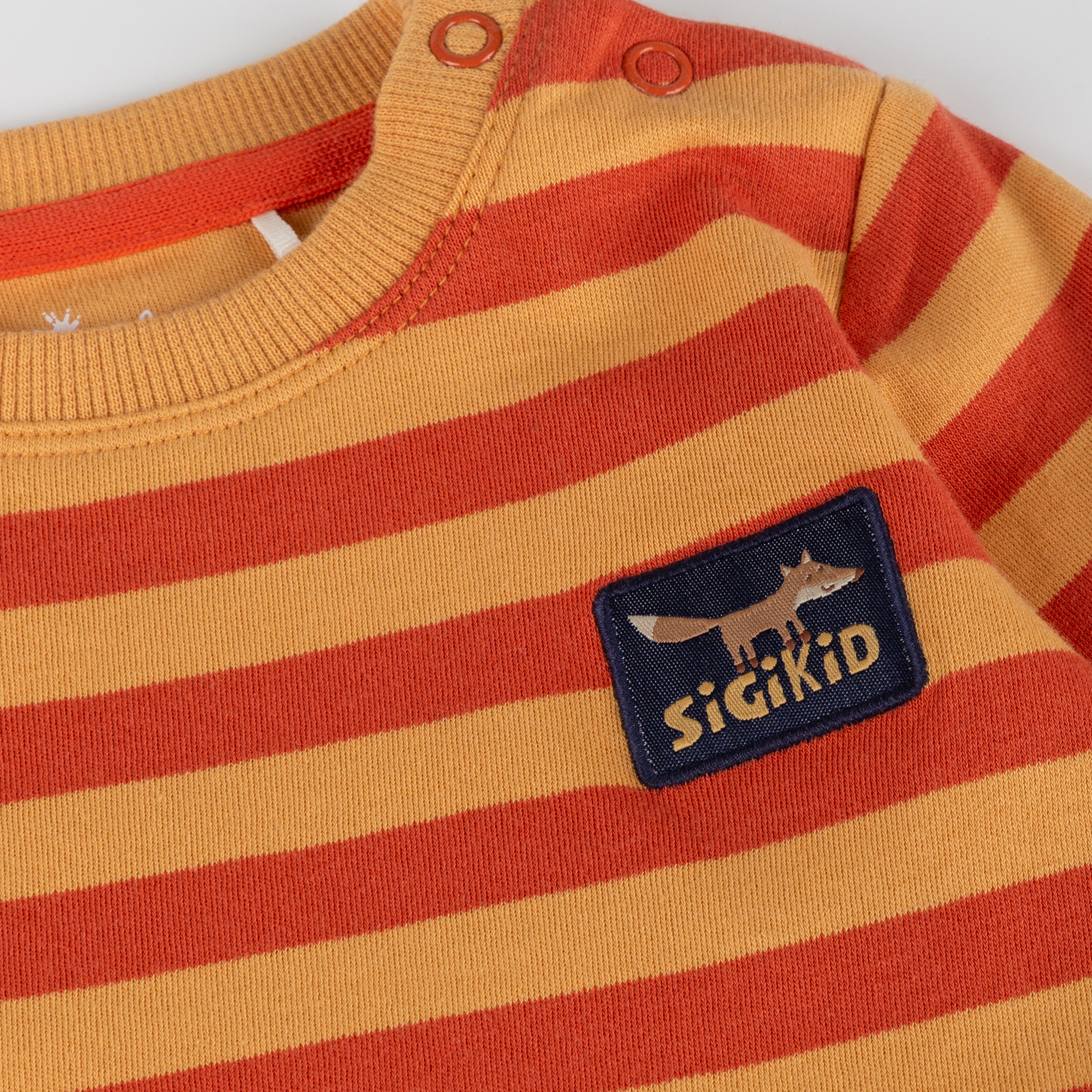 Baby long sleeve Tee Wild Fox, striped