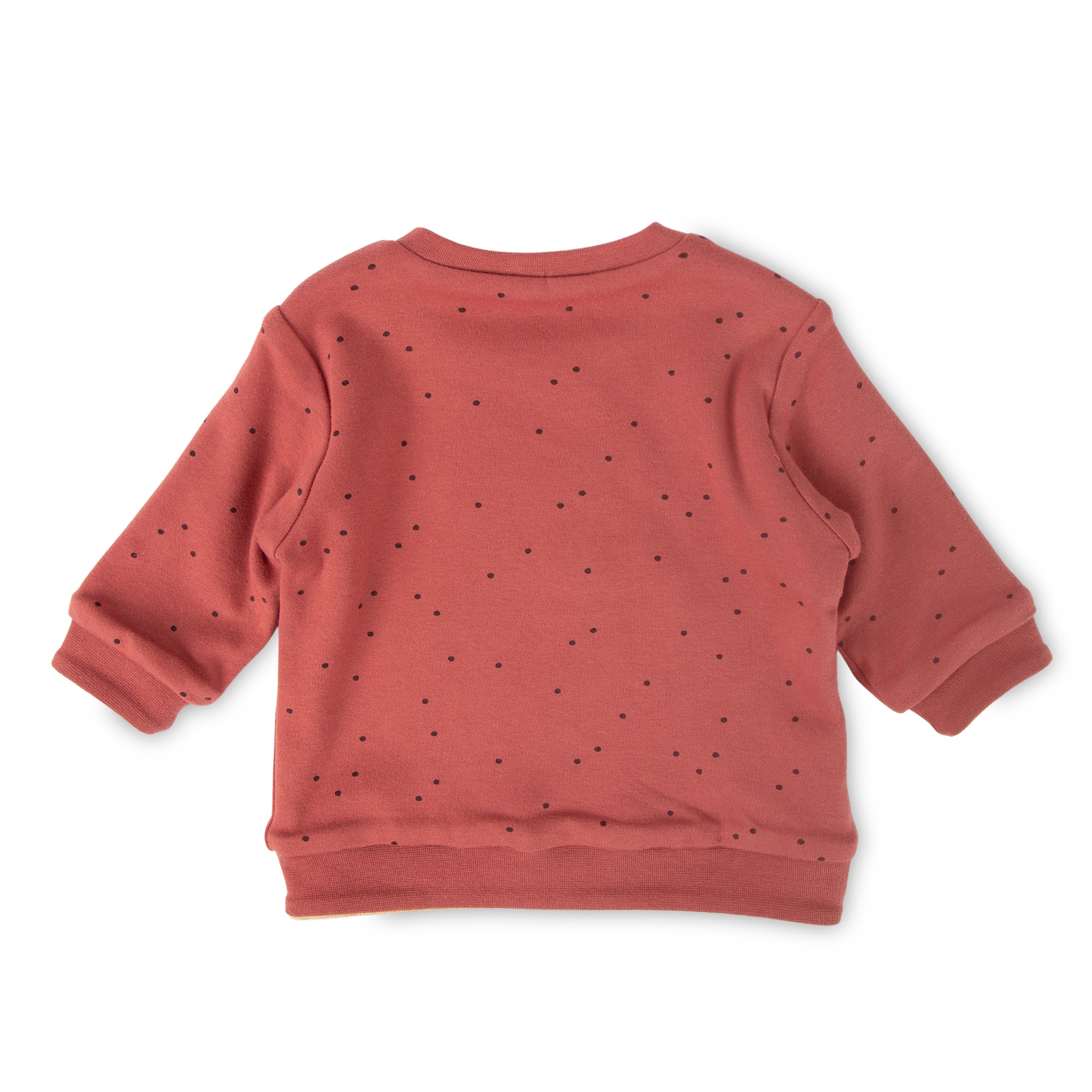 Reversible baby sweater Autumn Forest