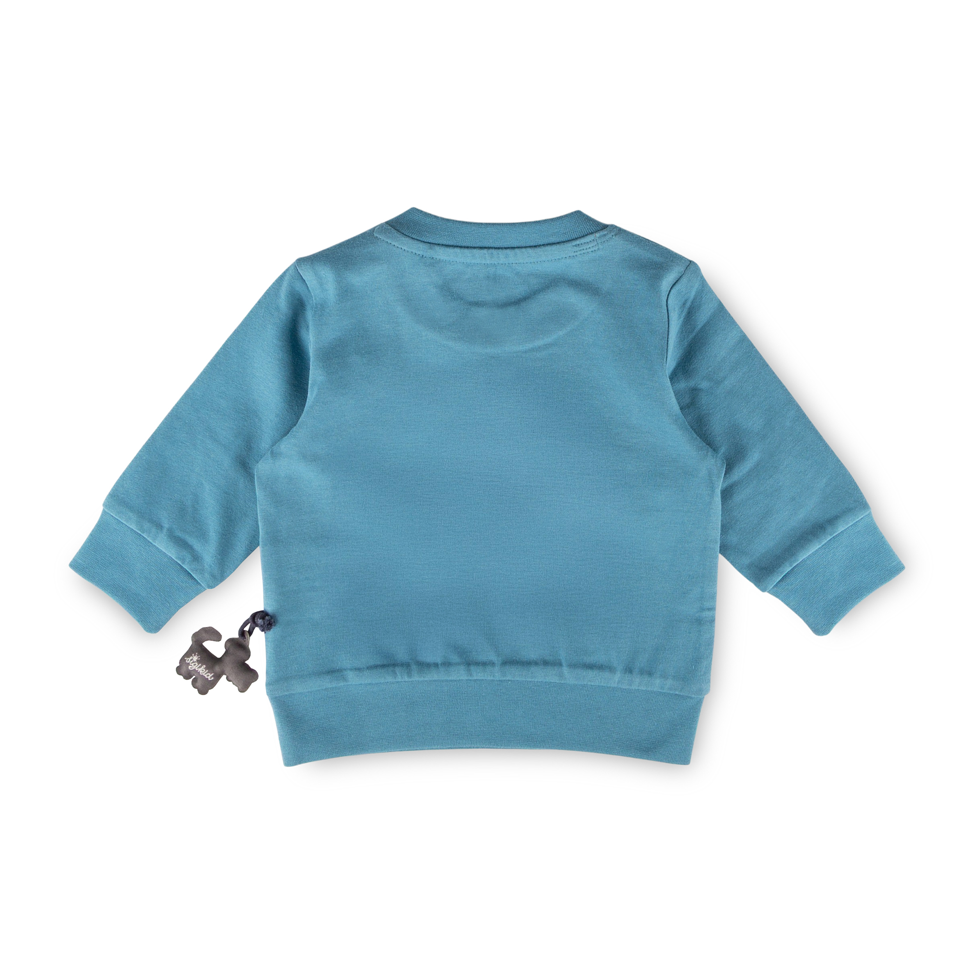 Baby Langarmshirt Dino, blau
