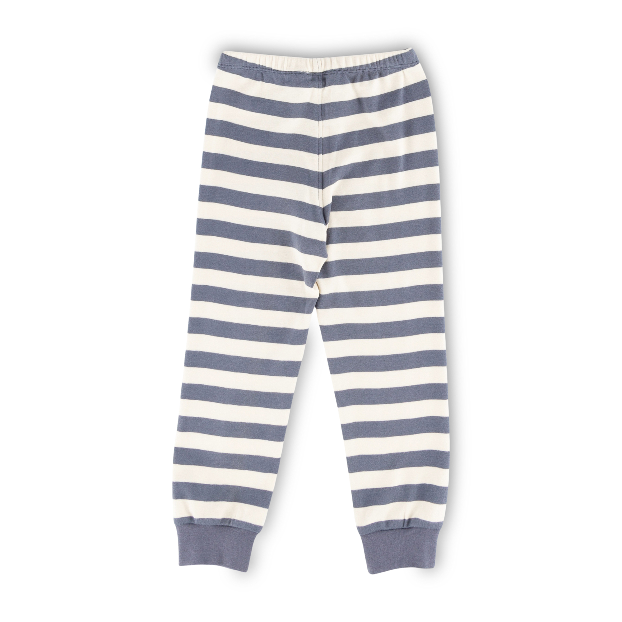 Two piece children's pyjamas zebra