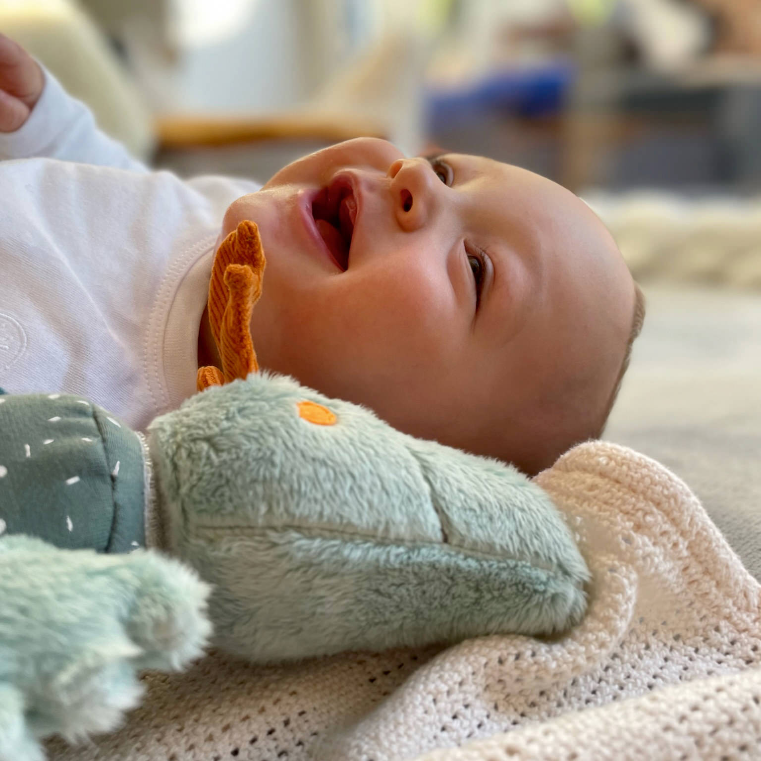 Baby Aktiv Klettdrache Baby Aktiv Klettdrache