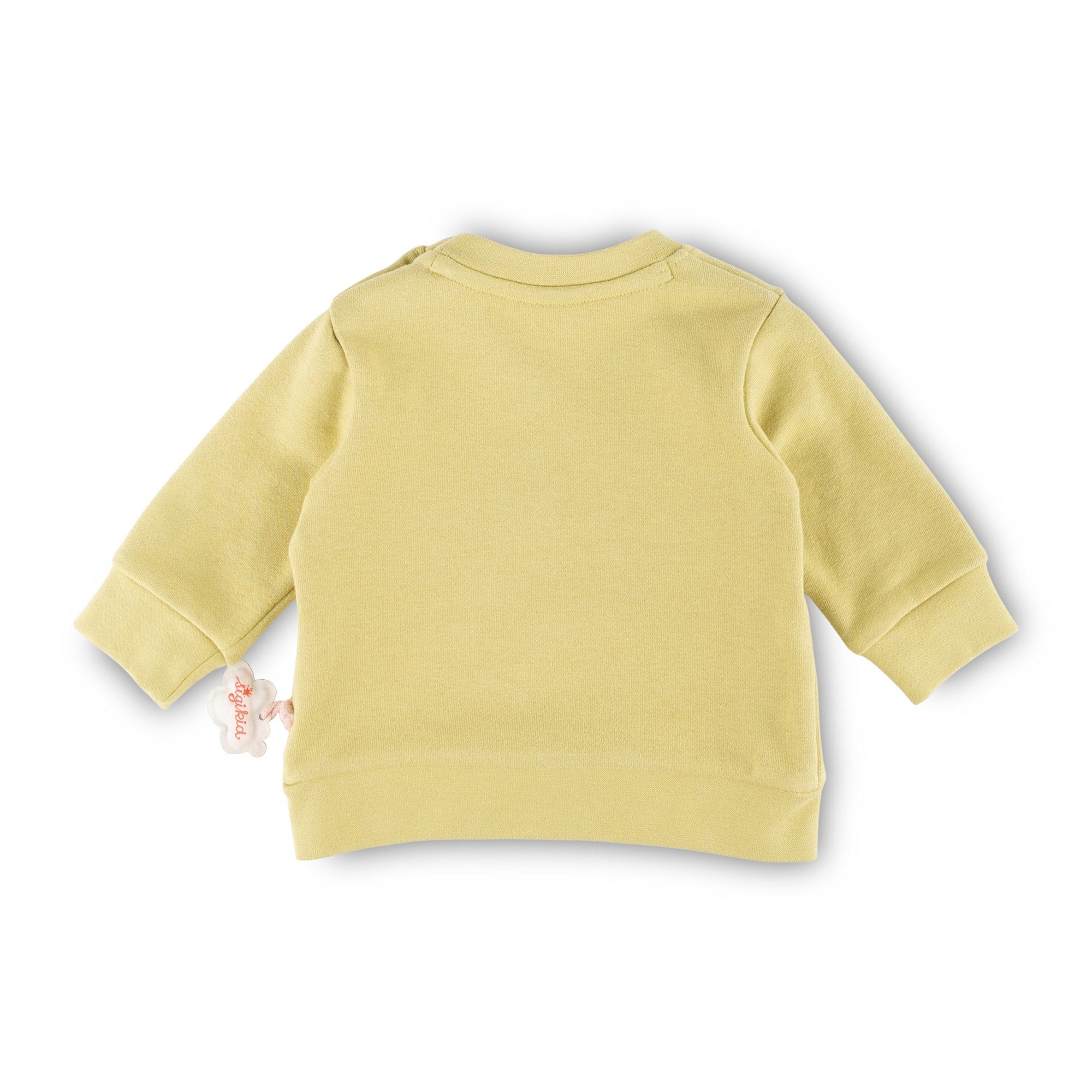 Baby sweatshirt ladybug, light green