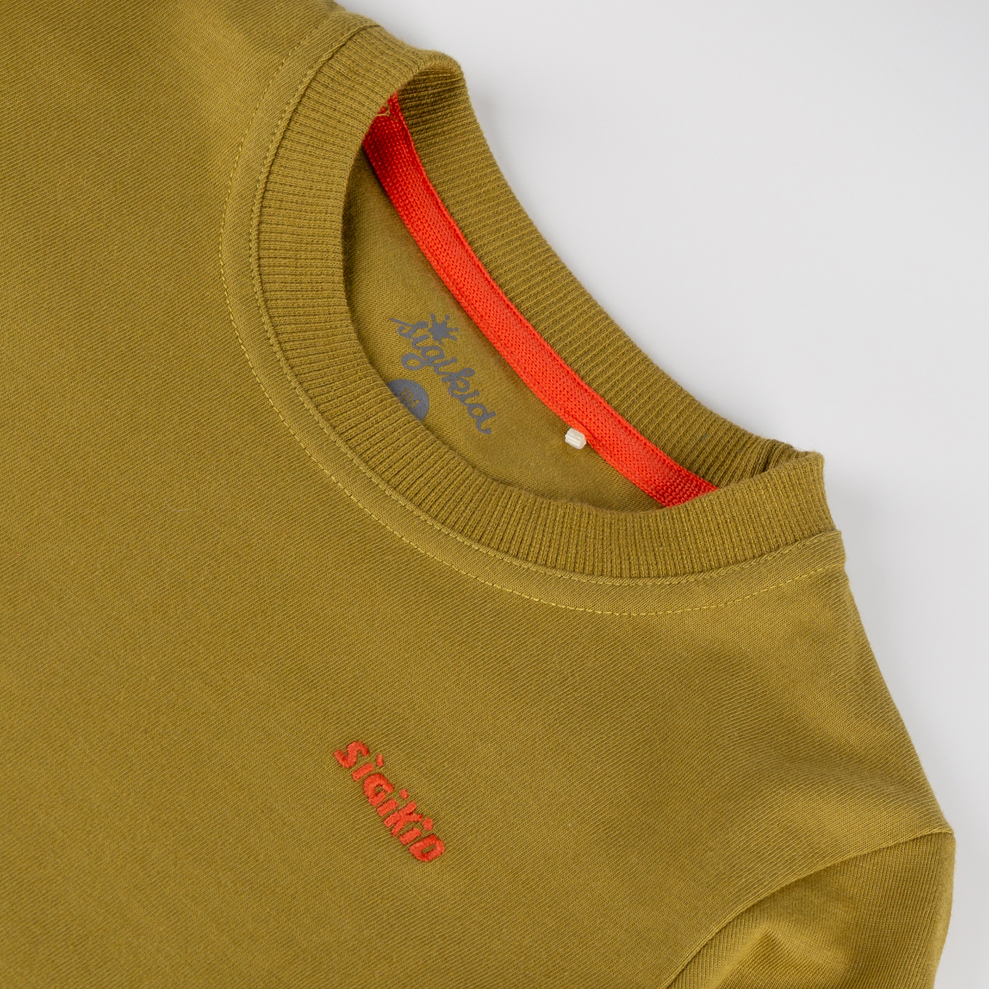 Children's long sleeve Tee khaki, Dino Fun