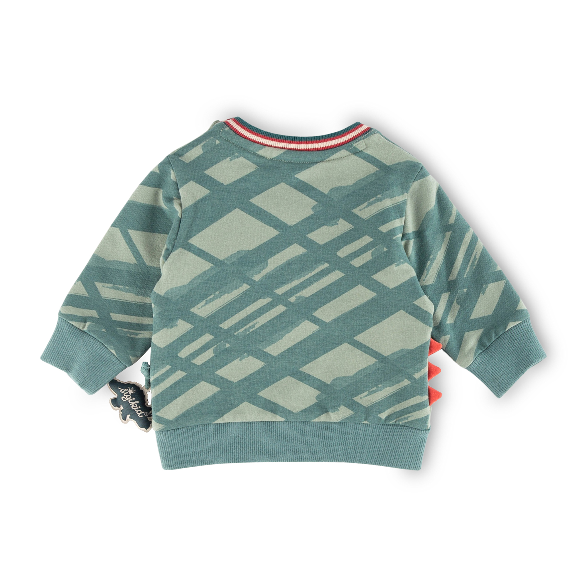 Baby graphic sweatshirt with 3-D-dino spikes