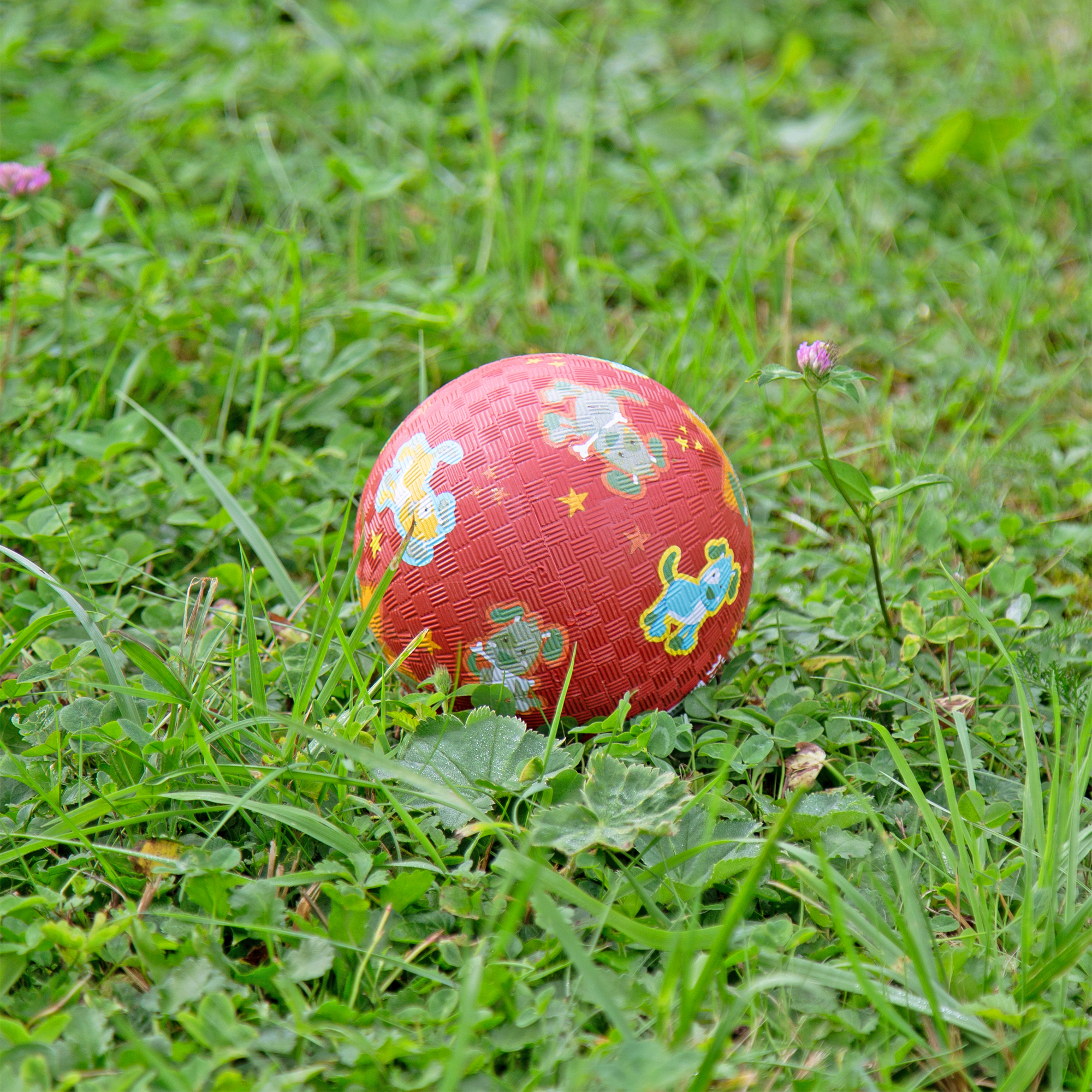 Rubber ball dog, small size, red Rubber ball dog, small size, red