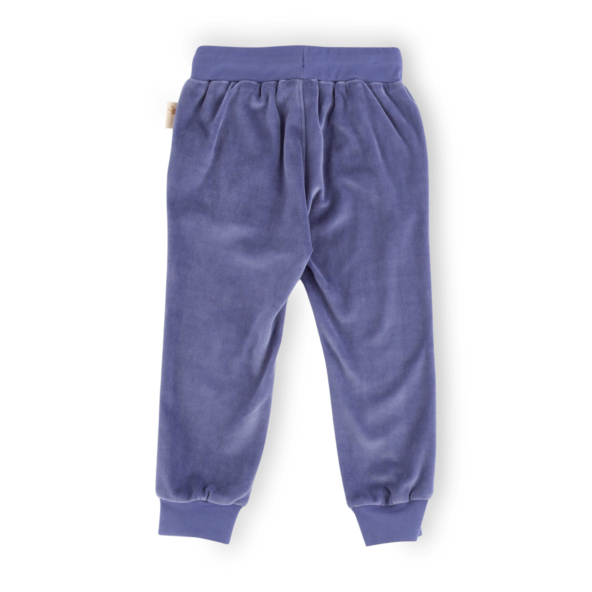 Violet blue Children's velour pants Wild Cat