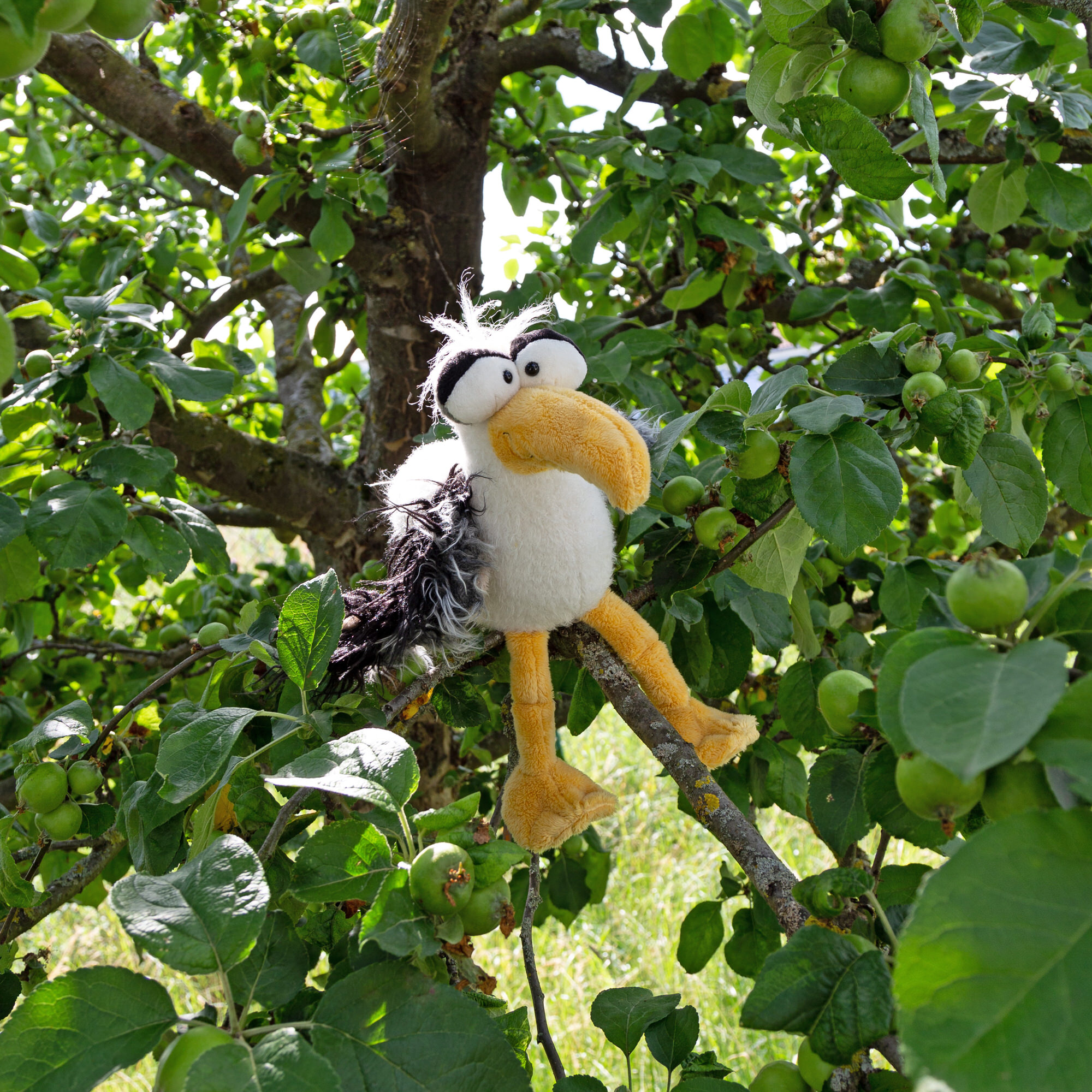 Kuschelvogel Loud in the Cloud, Kikeriki Kuschelvogel Loud in the Cloud, Kikeriki