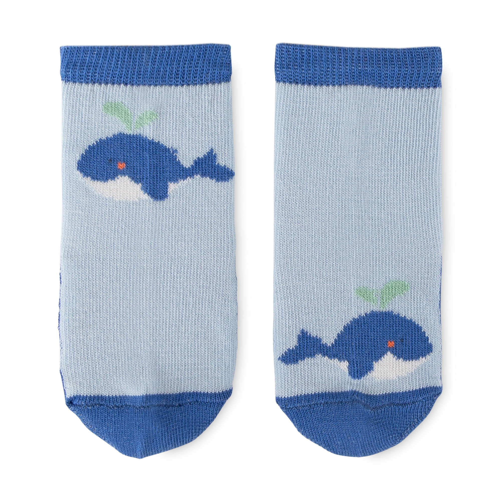 Newborn baby socks, 3-pair-set, blue