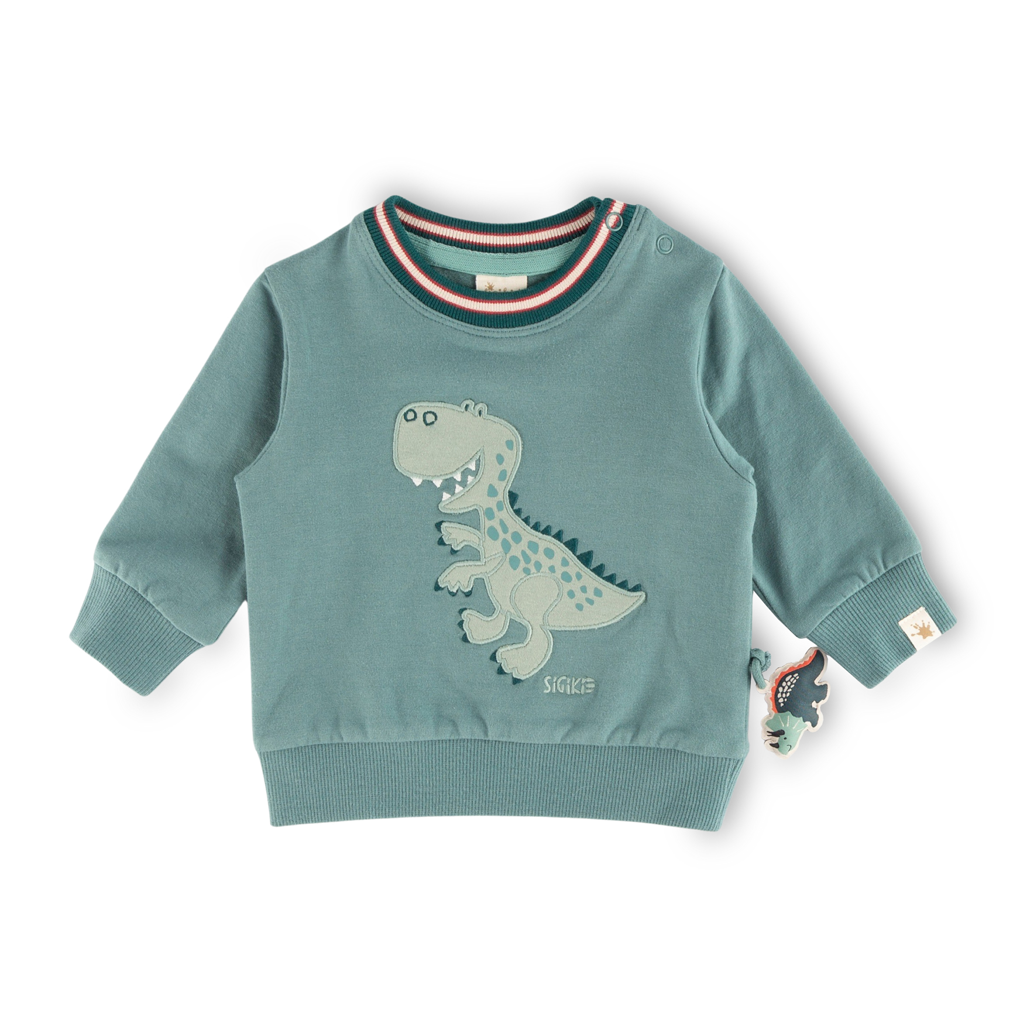Baby Sweatshirt mit Dino Motiv, grün Baby Sweatshirt mit Dino Motiv, grün
