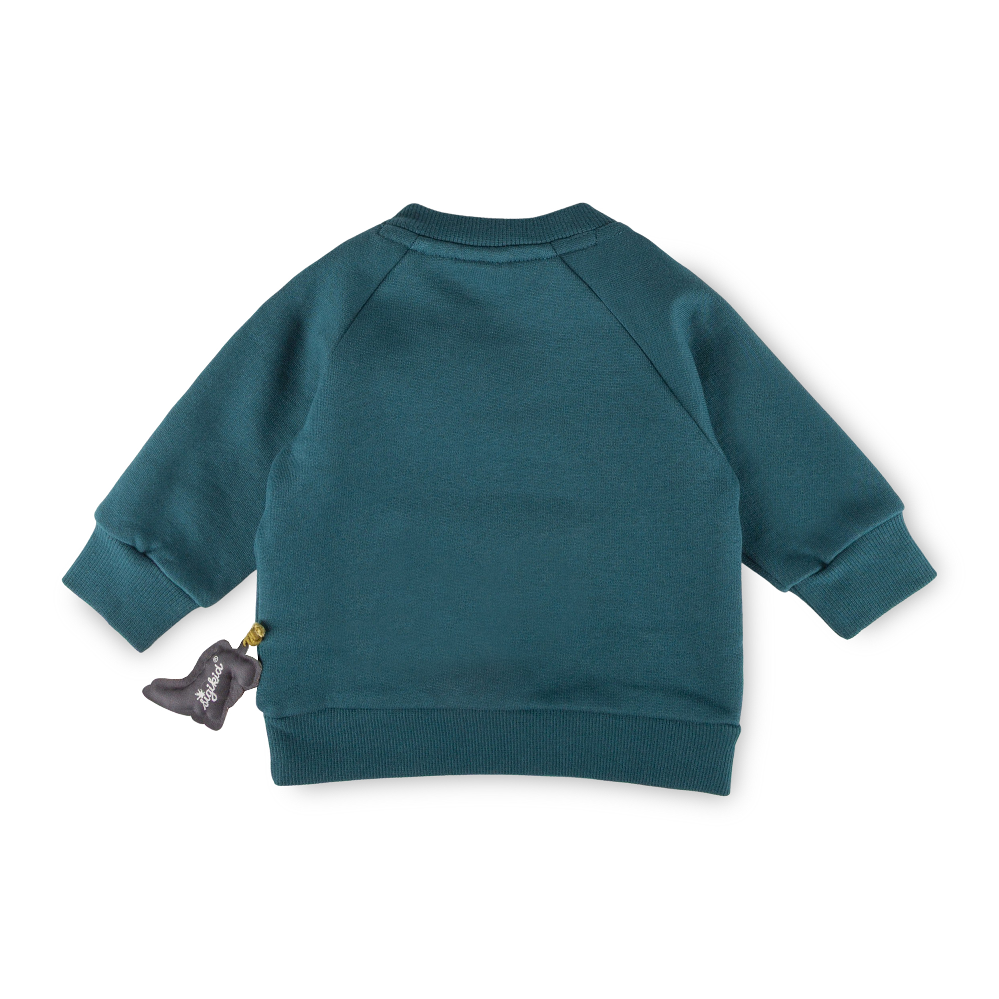 Baby sweatshirt Roar, front pocket, Dino Fun