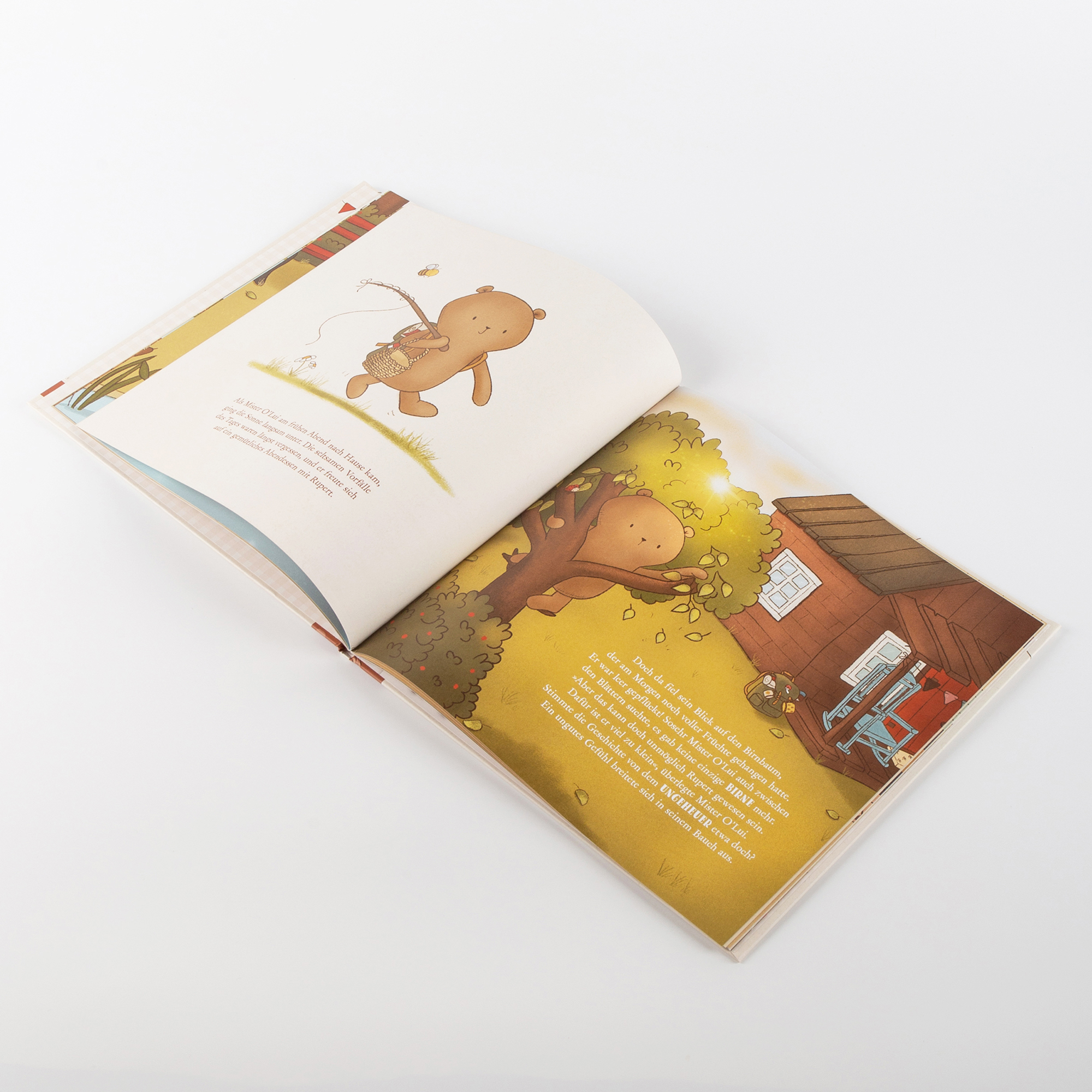 Kinderbuch Mister O'Lui und das Mutigsein Kinderbuch Mister O'Lui und das Mutigsein