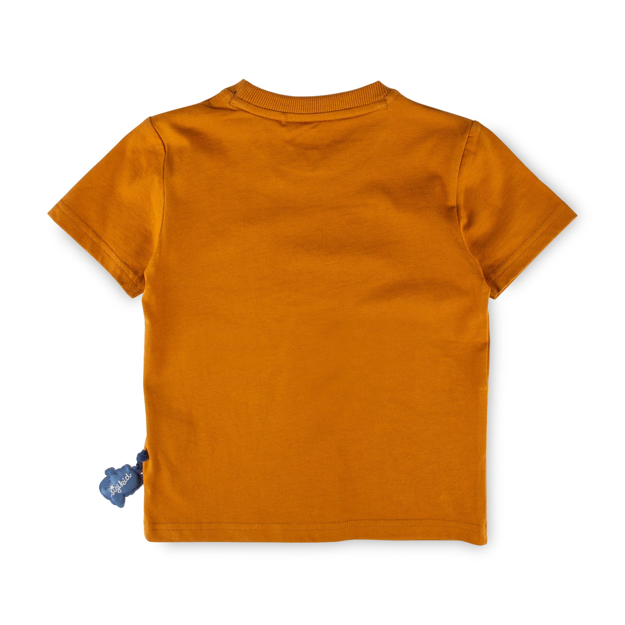 Children's T-shirt Tiger & Lion
