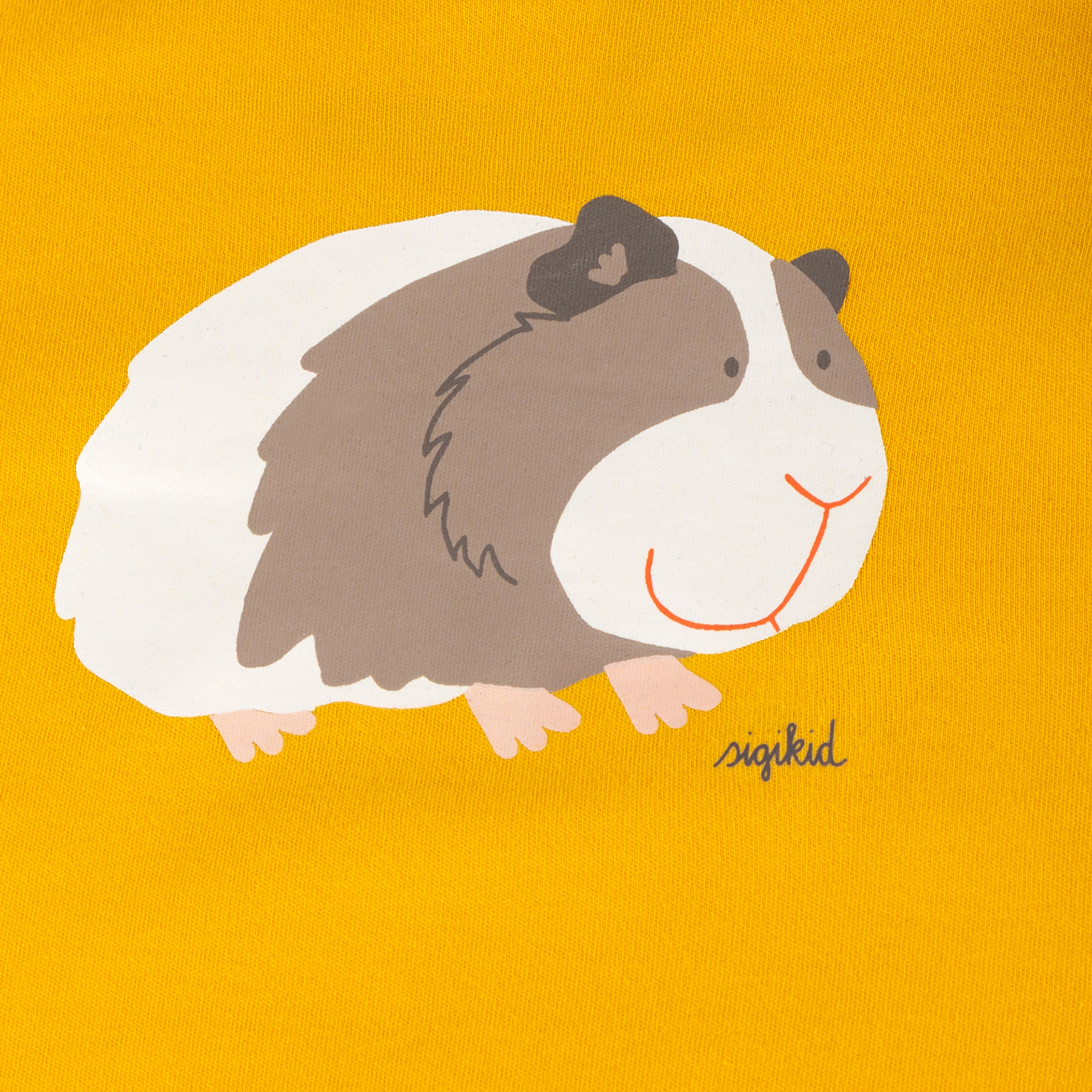 Two piece children's pyjamas guinea pig, autumn/winter