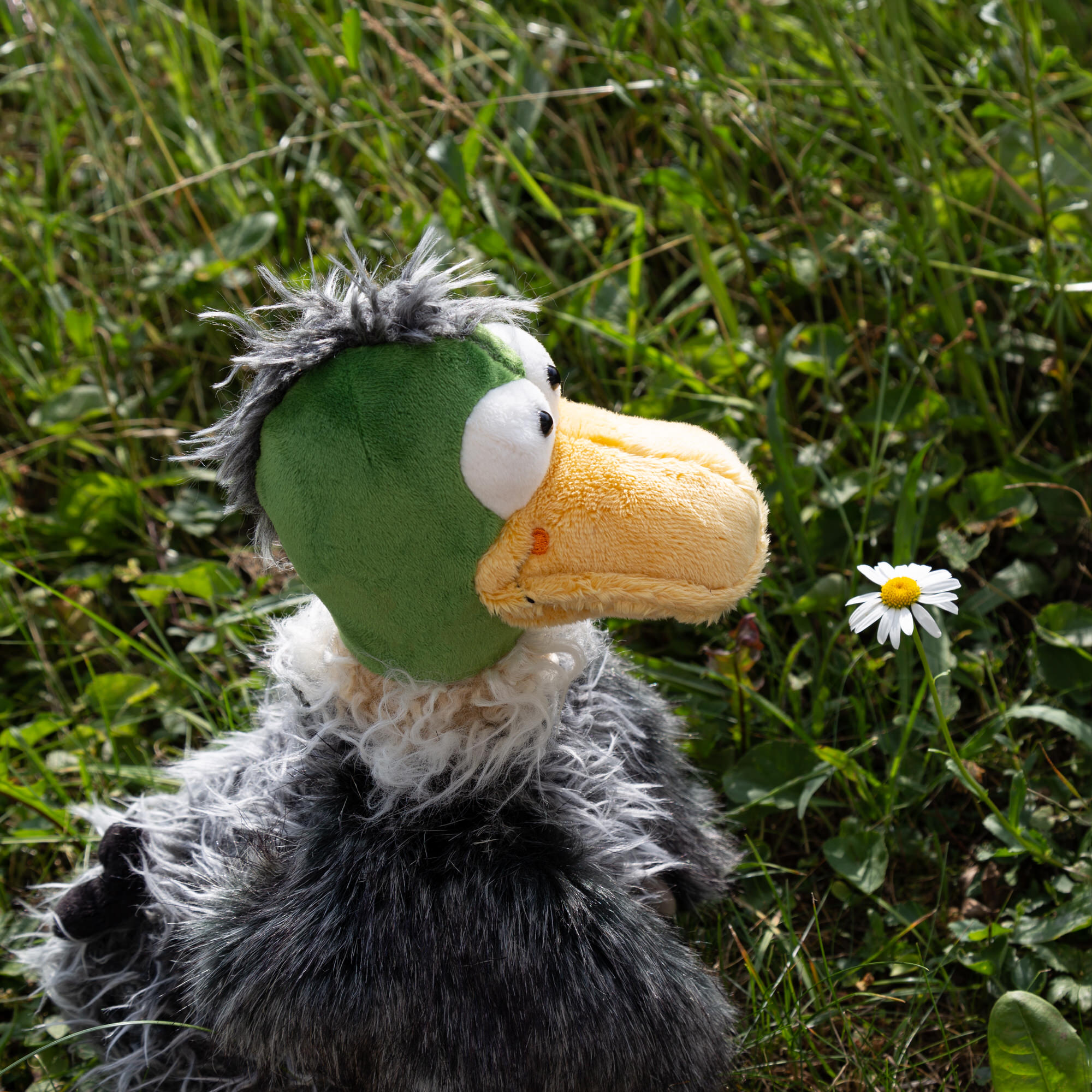 Duck Gacko Gack, KiKeRiKi Duck Gacko Gack, KiKeRiKi