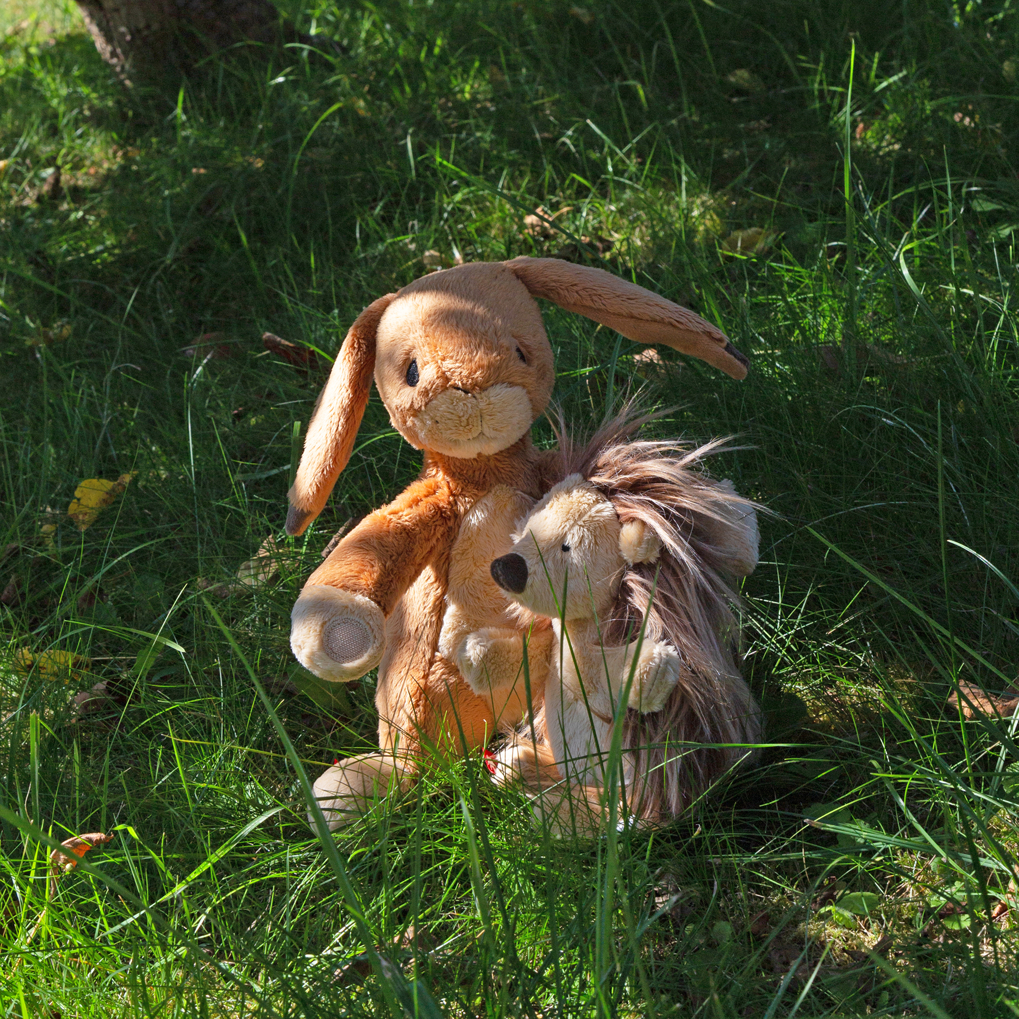 Plush hare, children's book "Wir zwei..." (You and me) by Michael Engler